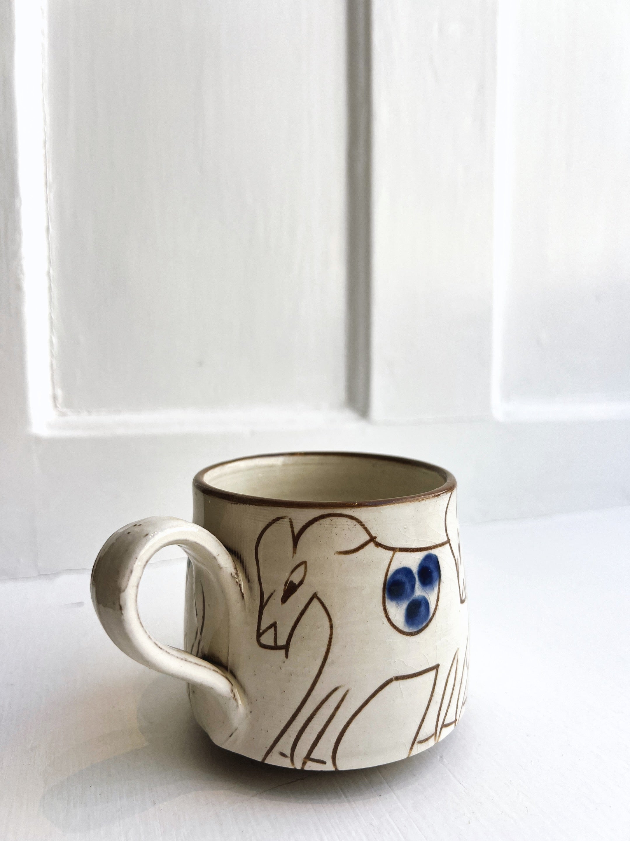 Donkey Cup I Egypt, Fayoum