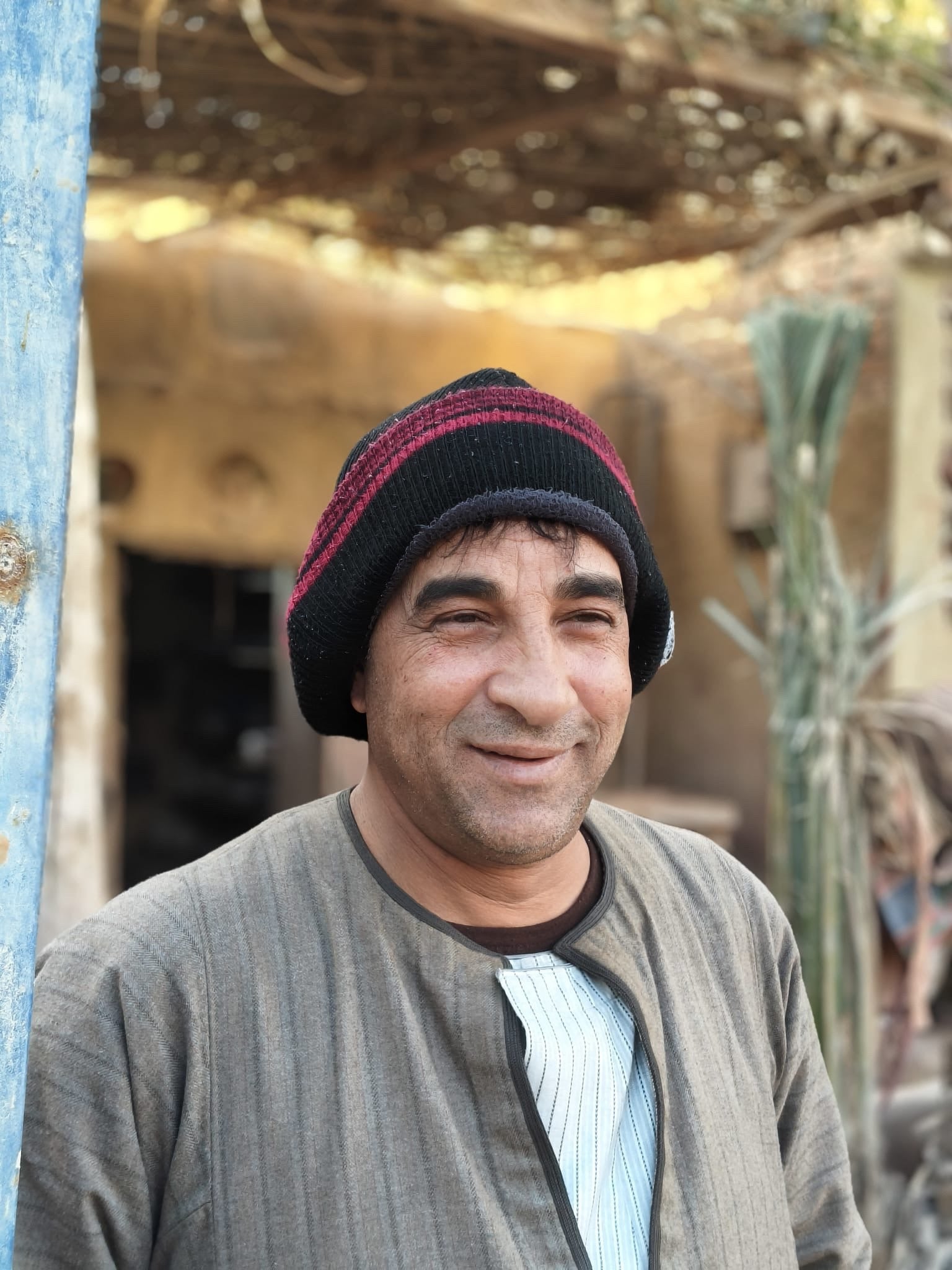 Sheep plate I Egypt, Fayoum