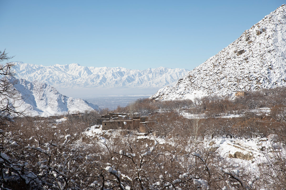 Afghansk mynde ornament I Herat, Afghanistan