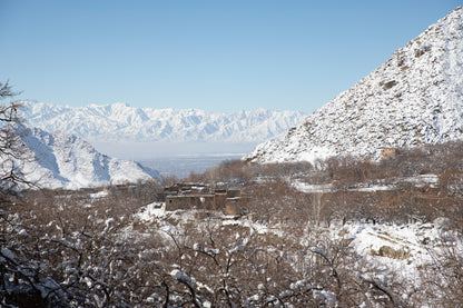 Afghansk mynde ornament I Herat, Afghanistan