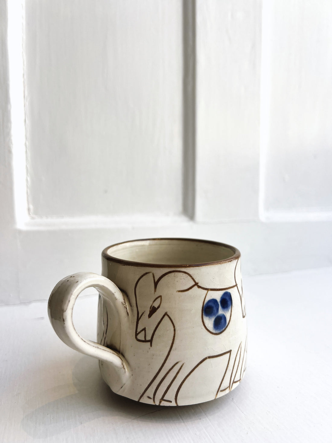 Donkey Cup I Egypt, Fayoum
