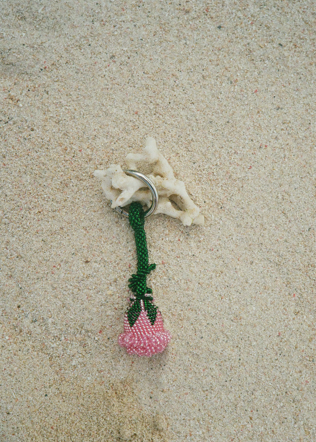 Damascus rose I Istanbul Turkey